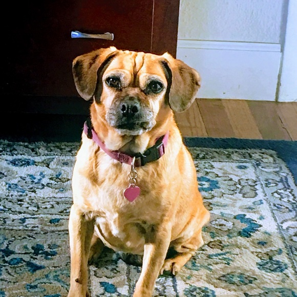 Meet your Posher, Eva - Picture 11 of 13